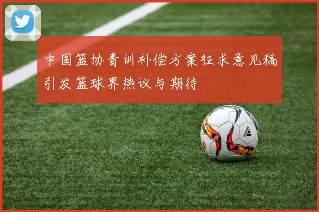 中国篮协青训补偿方案征求意见稿引发篮球界热议与期待