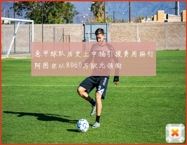 意甲球队历史上中场引援费用排行阿图尔以8060万欧元领衔